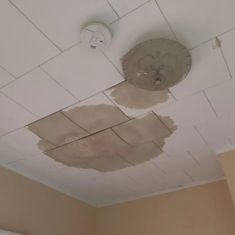 Ceiling Water Damage Repair in Faribault County, MN