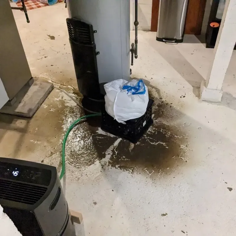 Sewage Backup Cleanup Service in Faribault County, MN